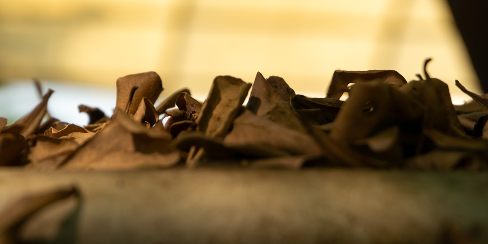 A pile of leaves sitting on top of a wooden table