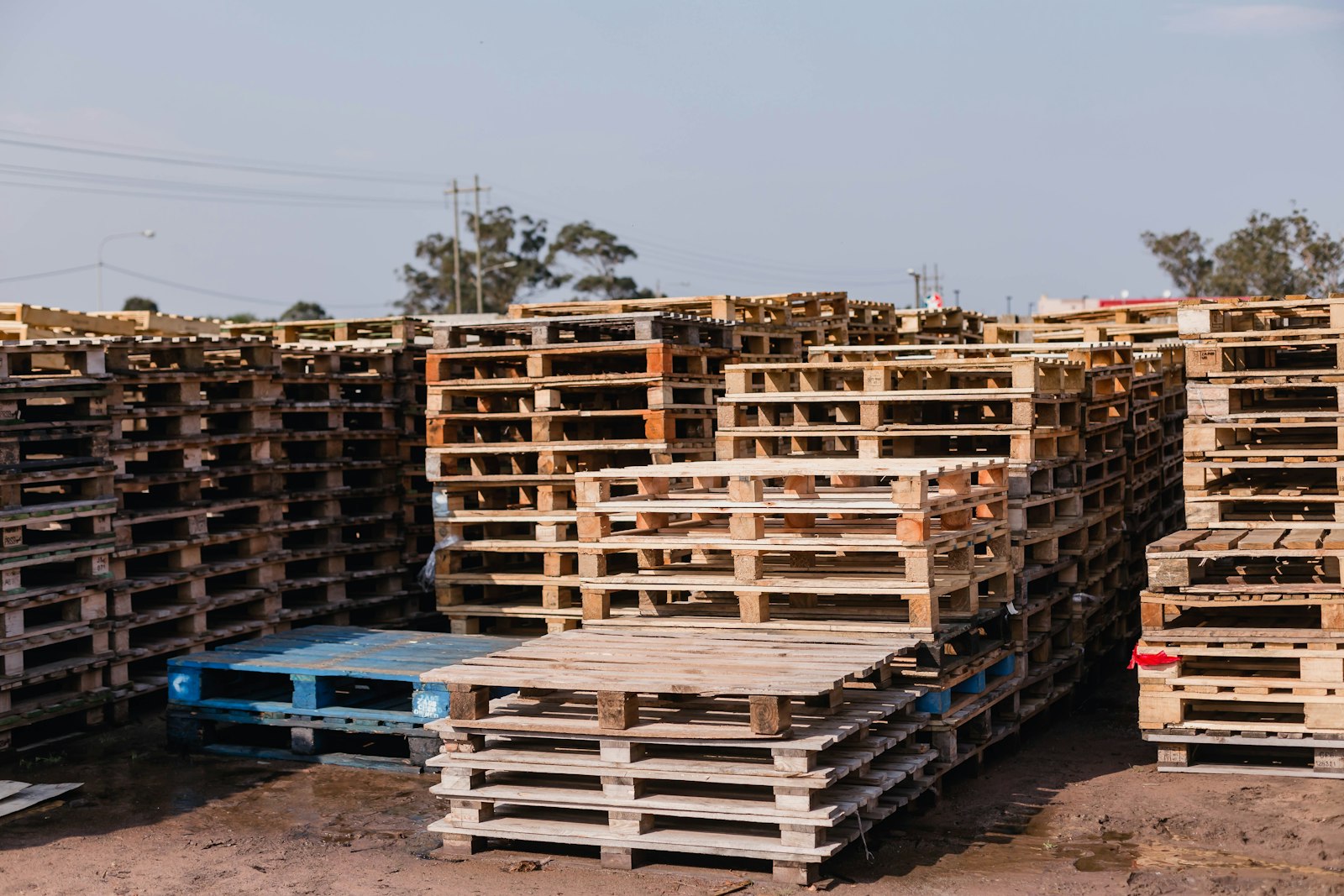 a large pile of wood